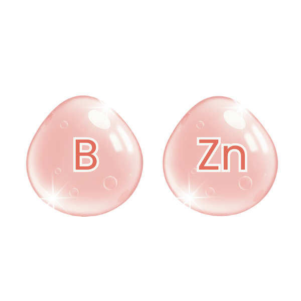 Vitamines B + Zinc